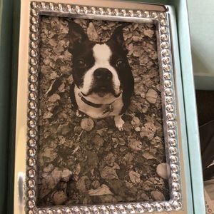 5x7 picture frame. Mariposa